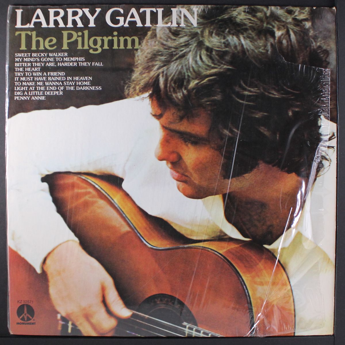 the pilgrim by LARRY GATLIN
