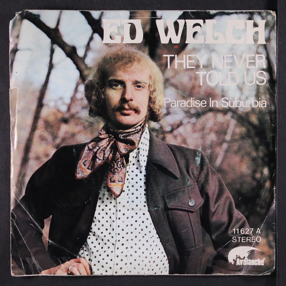they never told us / paradise in suburbia by ED WELCH