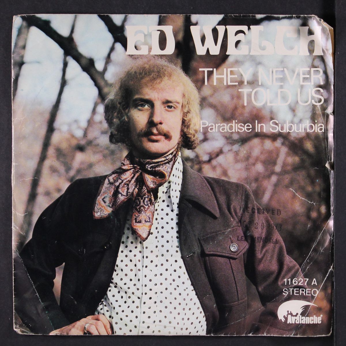 they never told us / paradise in suburbia by ED WELCH