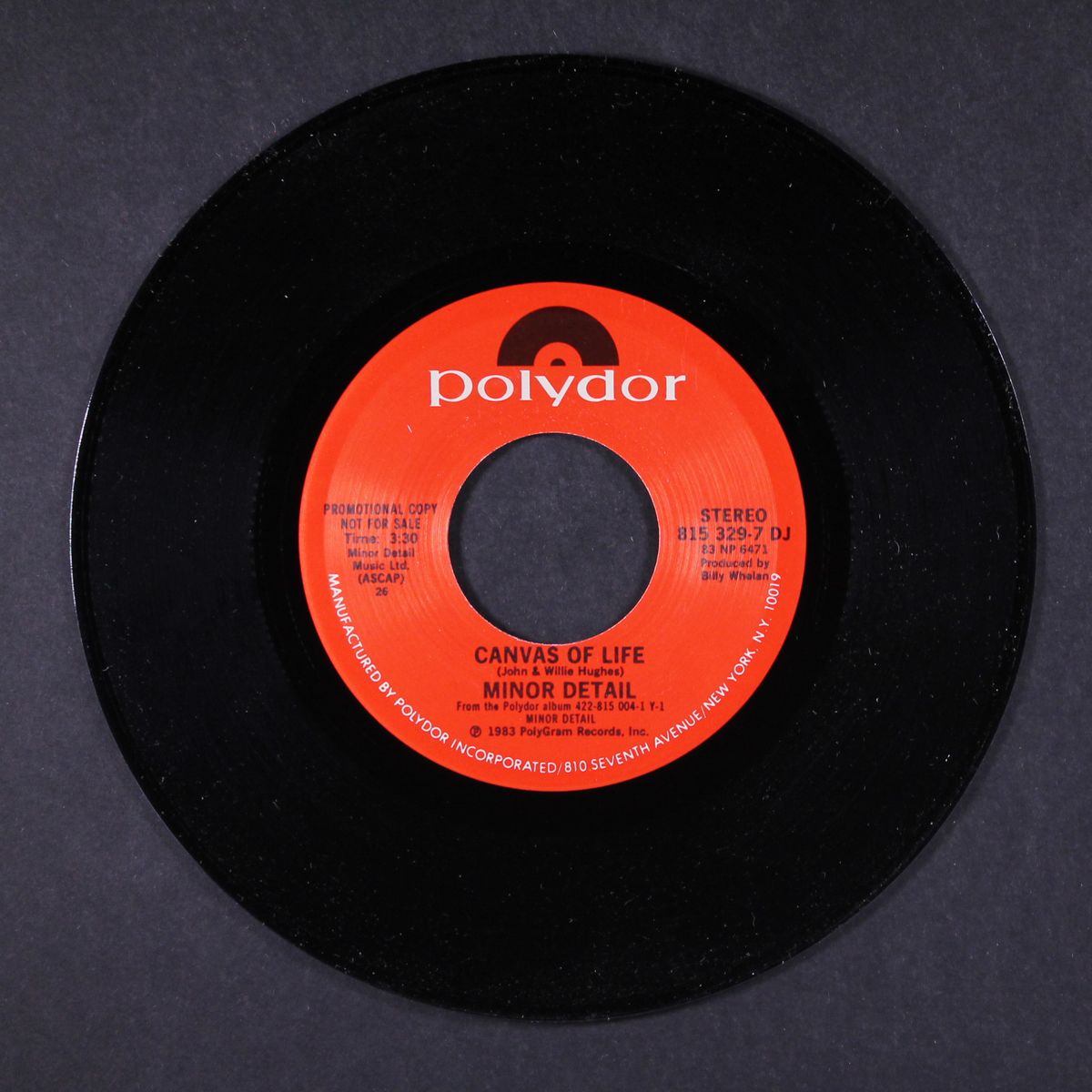 canvas of life / i'll always love you by MINOR DETAIL