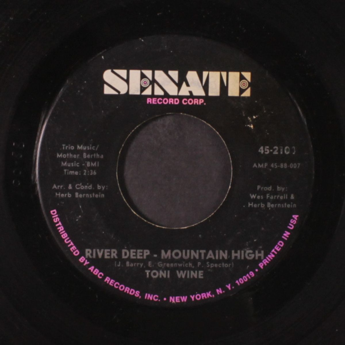 river deep, mountain high / toni's tune by TONI WINE