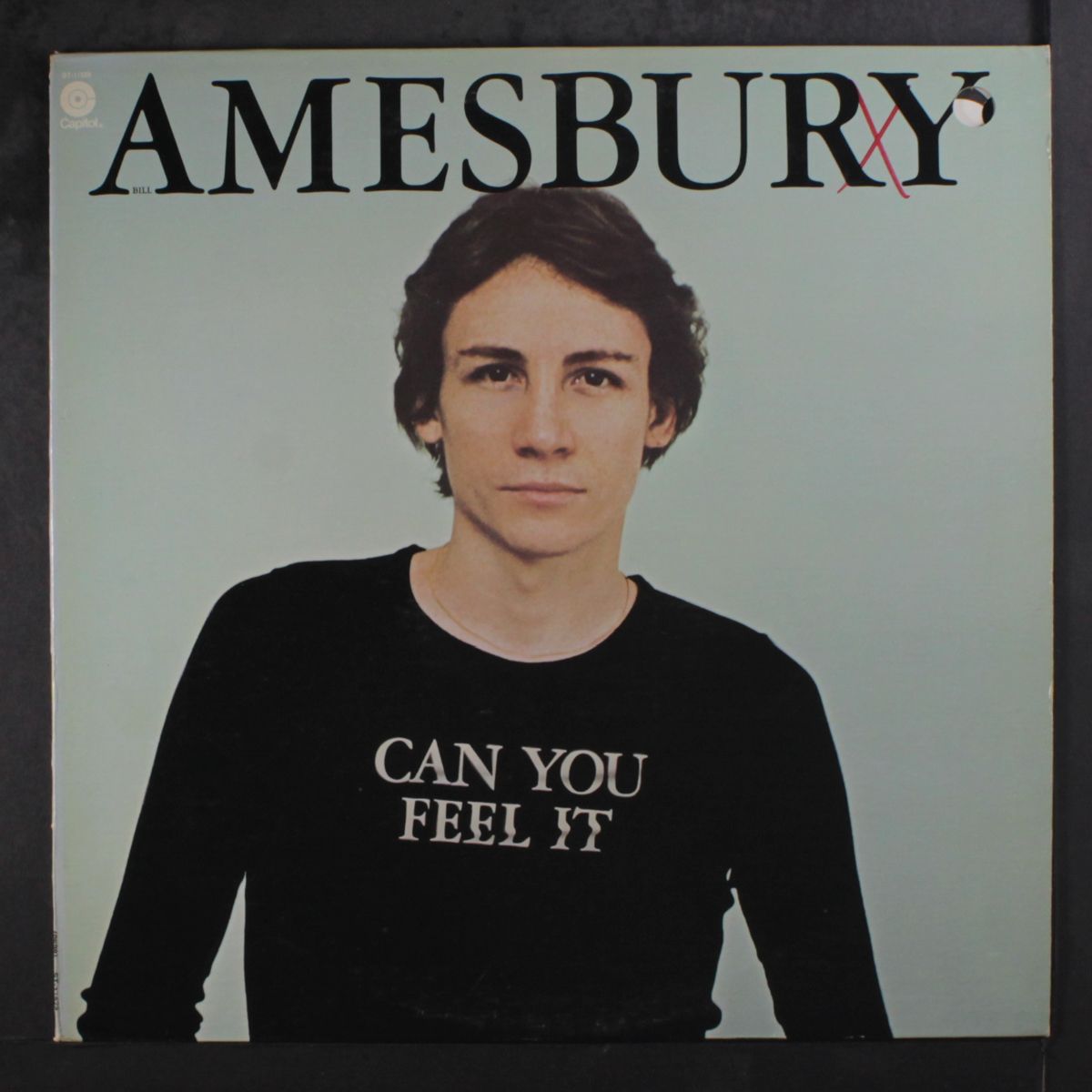 can you feel it by BILL AMESBURY