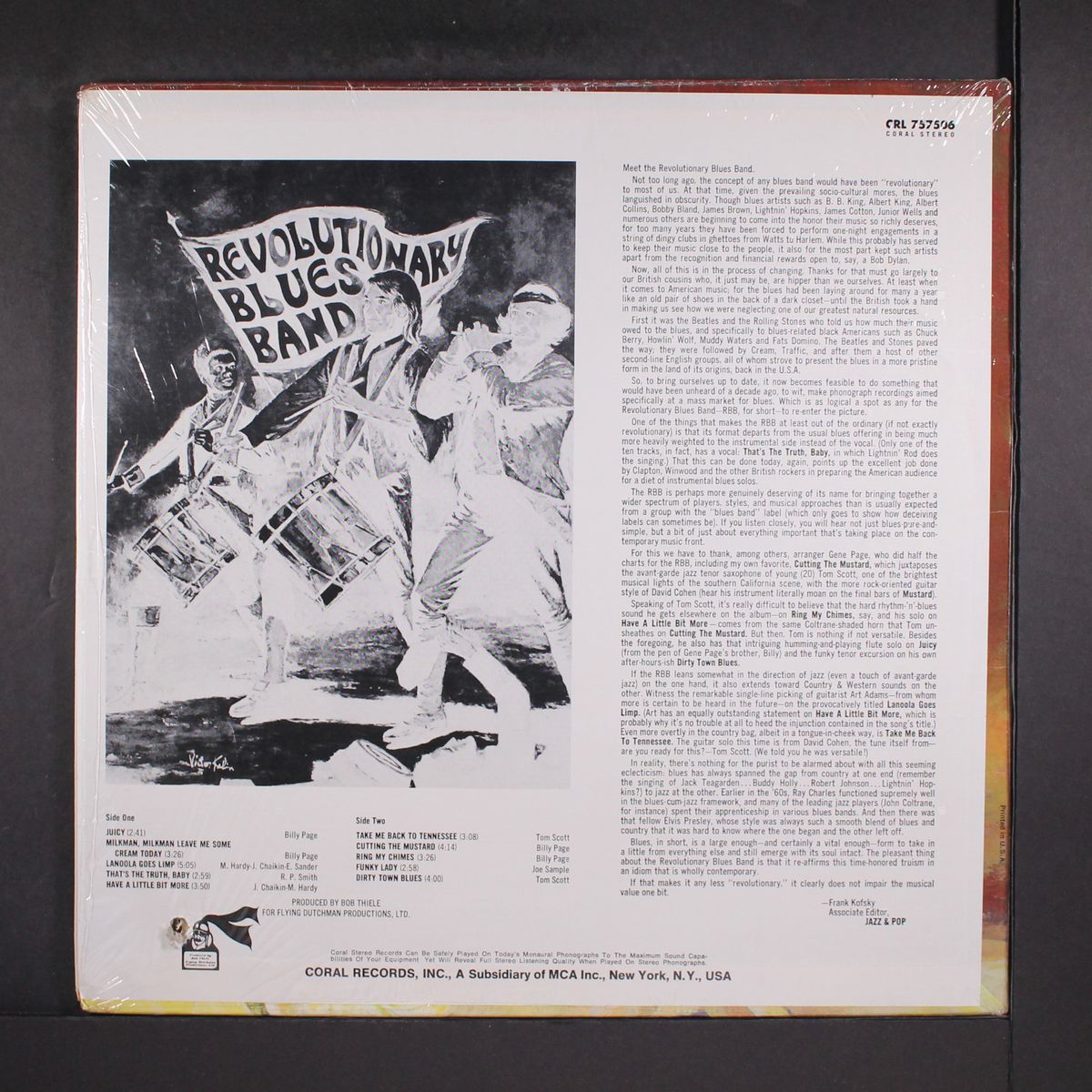 revolutionary blues band by REVOLUTIONARY BLUES BAND
