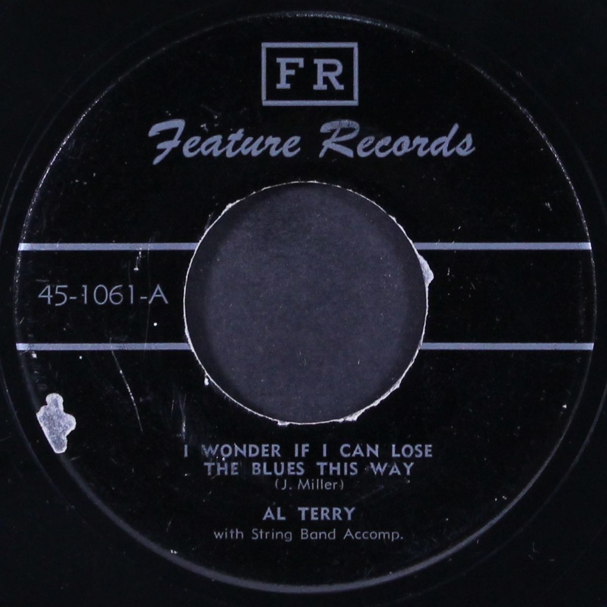 i wonder if i can lose the blues this way / walking and crying with the blues by AL TERRY