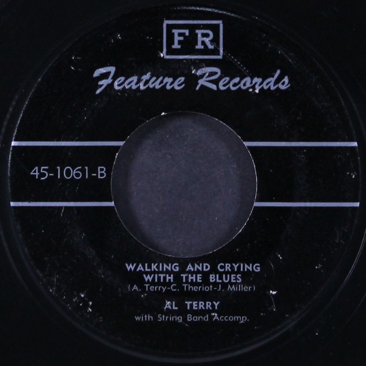 i wonder if i can lose the blues this way / walking and crying with the blues by AL TERRY