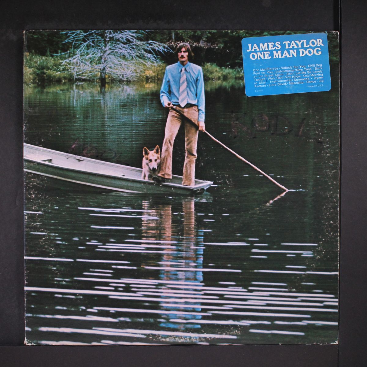 one man dog by JAMES TAYLOR