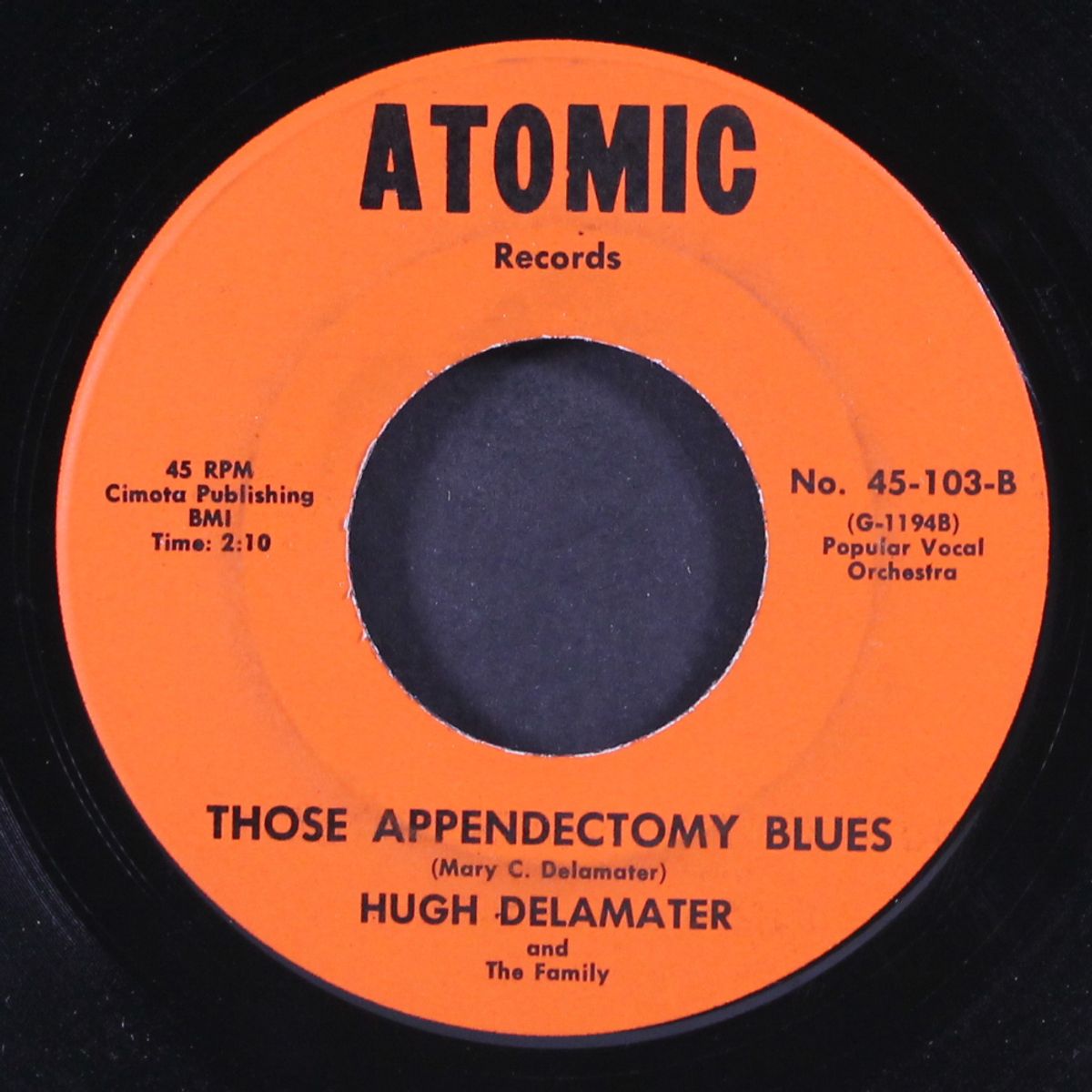 those appendectomy blues / walking with nancy by HUGH DELAMATER