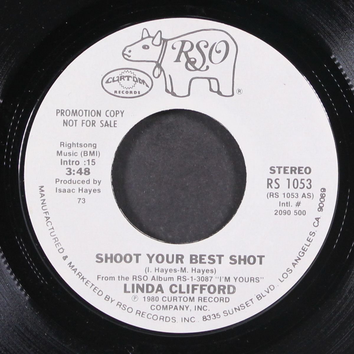 shoot your best shot / mono by LINDA CLIFFORD