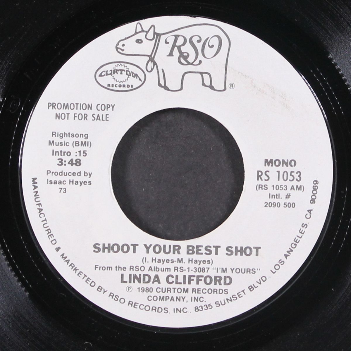 shoot your best shot / mono by LINDA CLIFFORD