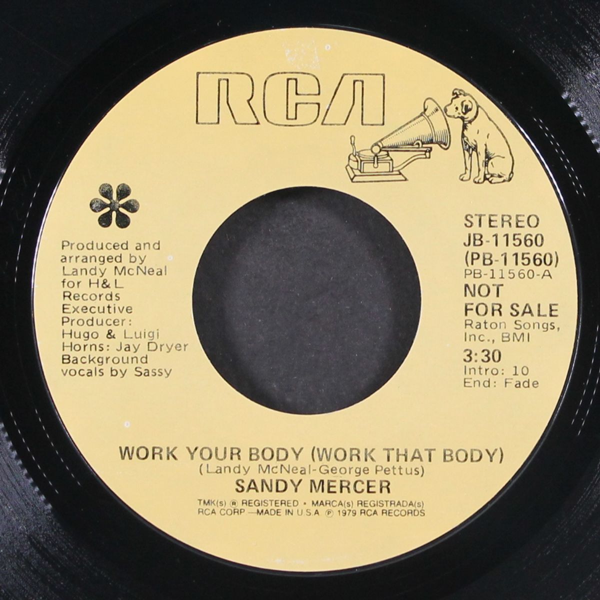 work your body by SANDY MERCER