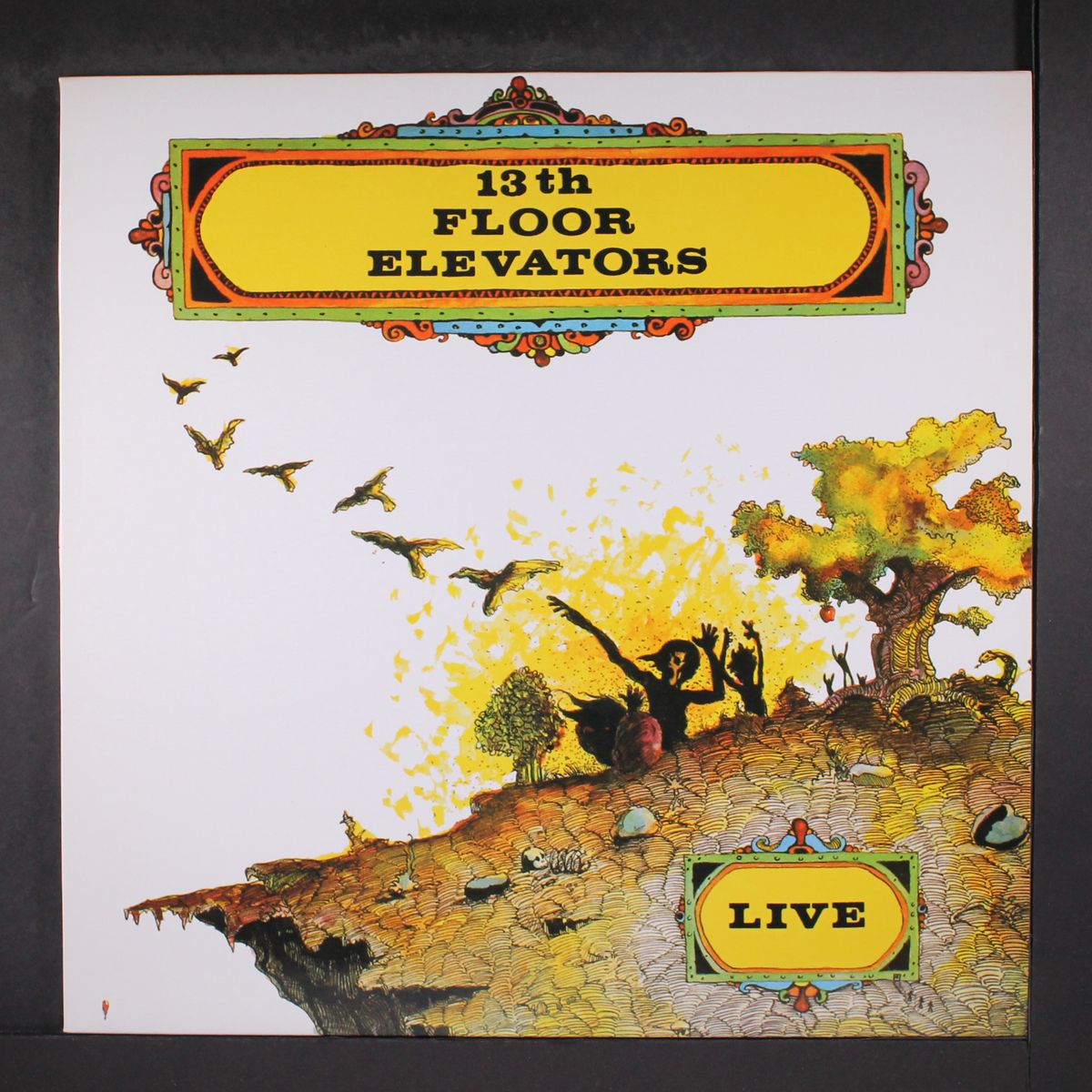 live by THIRTEENTH FLOOR ELEVATORS