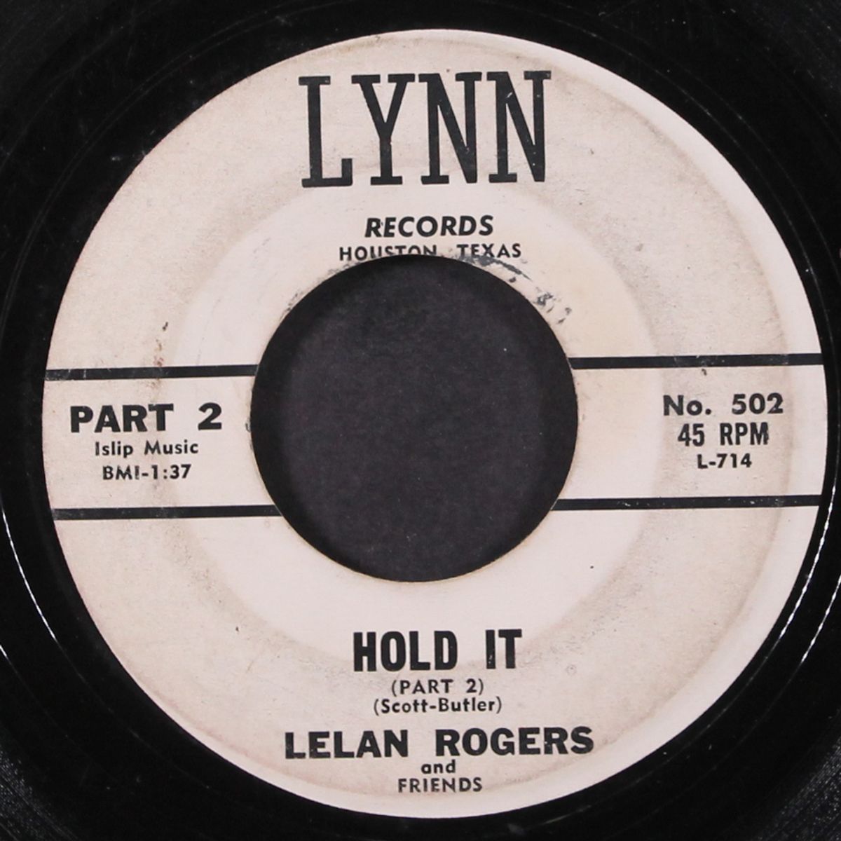 hold it by LELAN ROGERS