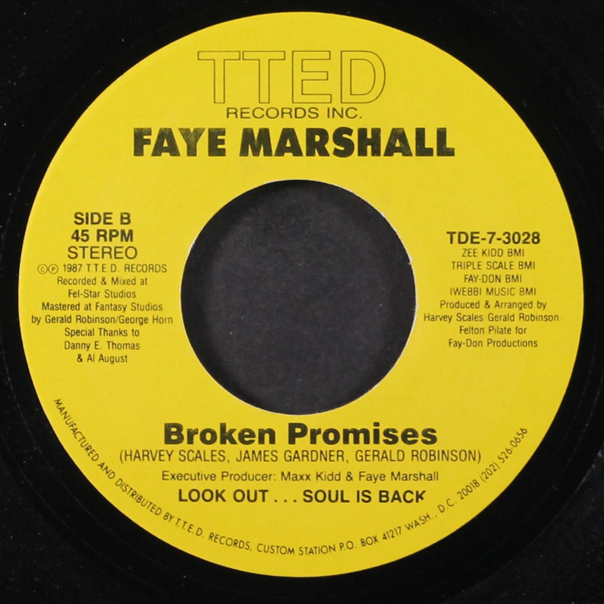t.l.c. / broken promises by FAYE MARSHALL