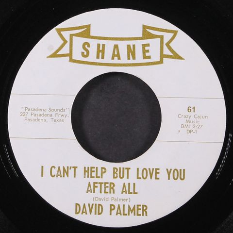 DAVID PALMER