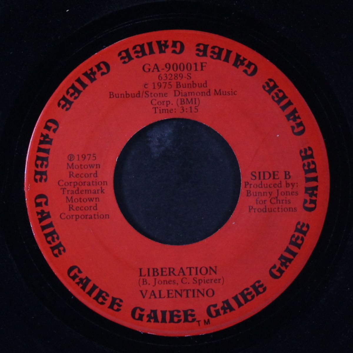i was born this way / liberation by VALENTINO