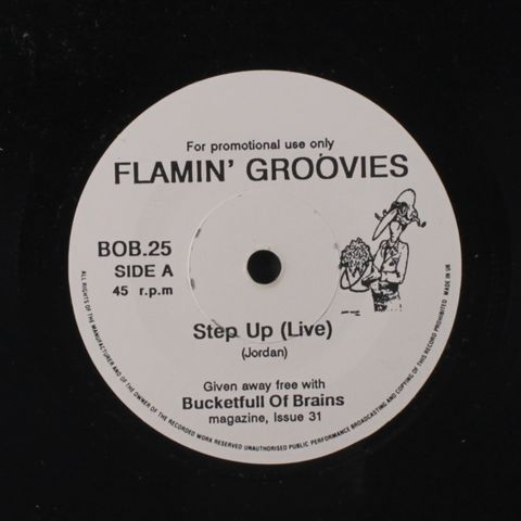 FLAMIN' GROOVIES / DENVER MEXICANS