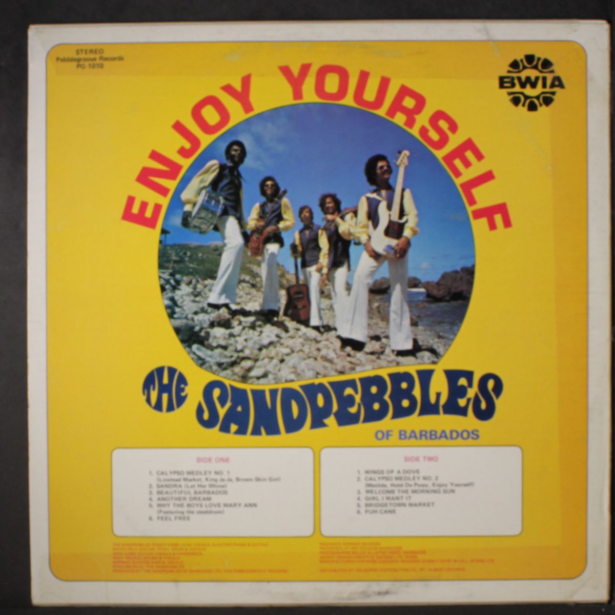 enjoy yourself by SANDPEBBLES
