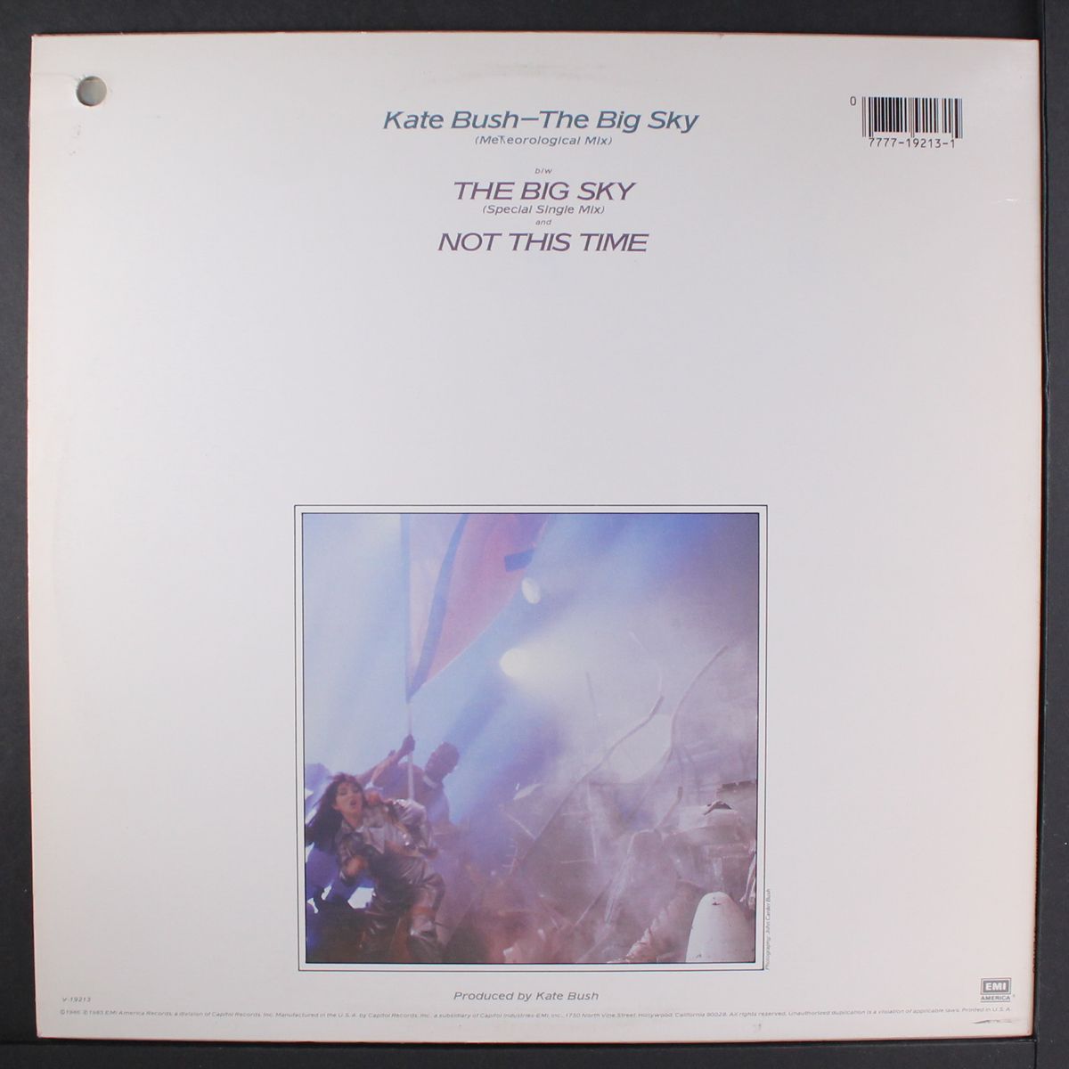 the big sky / not this time by KATE BUSH