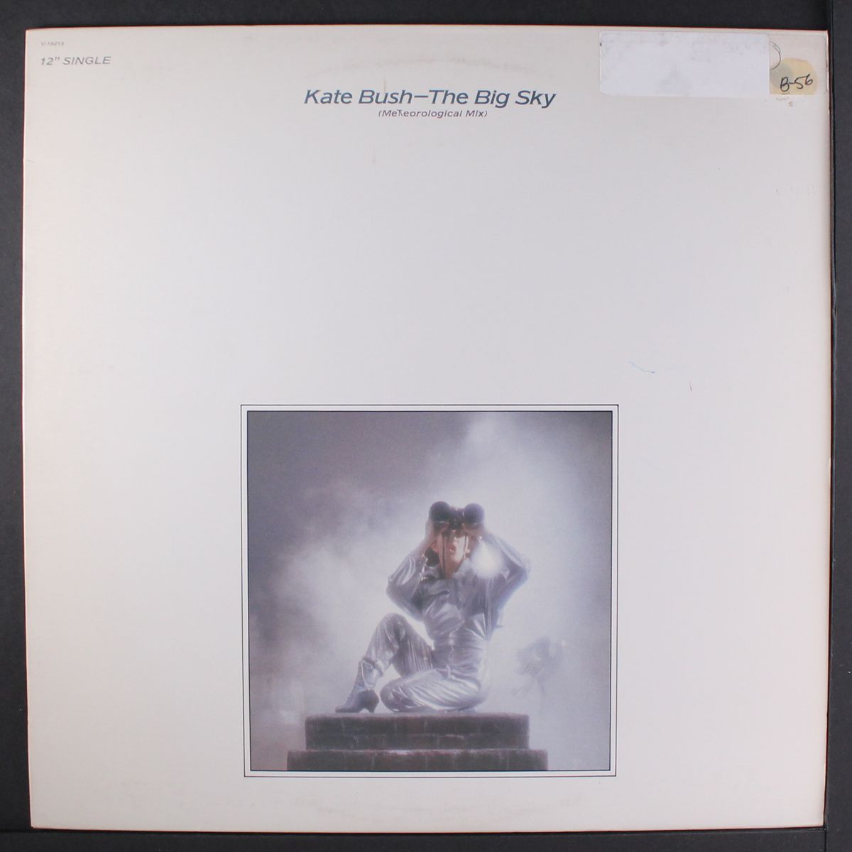 the big sky / not this time by KATE BUSH