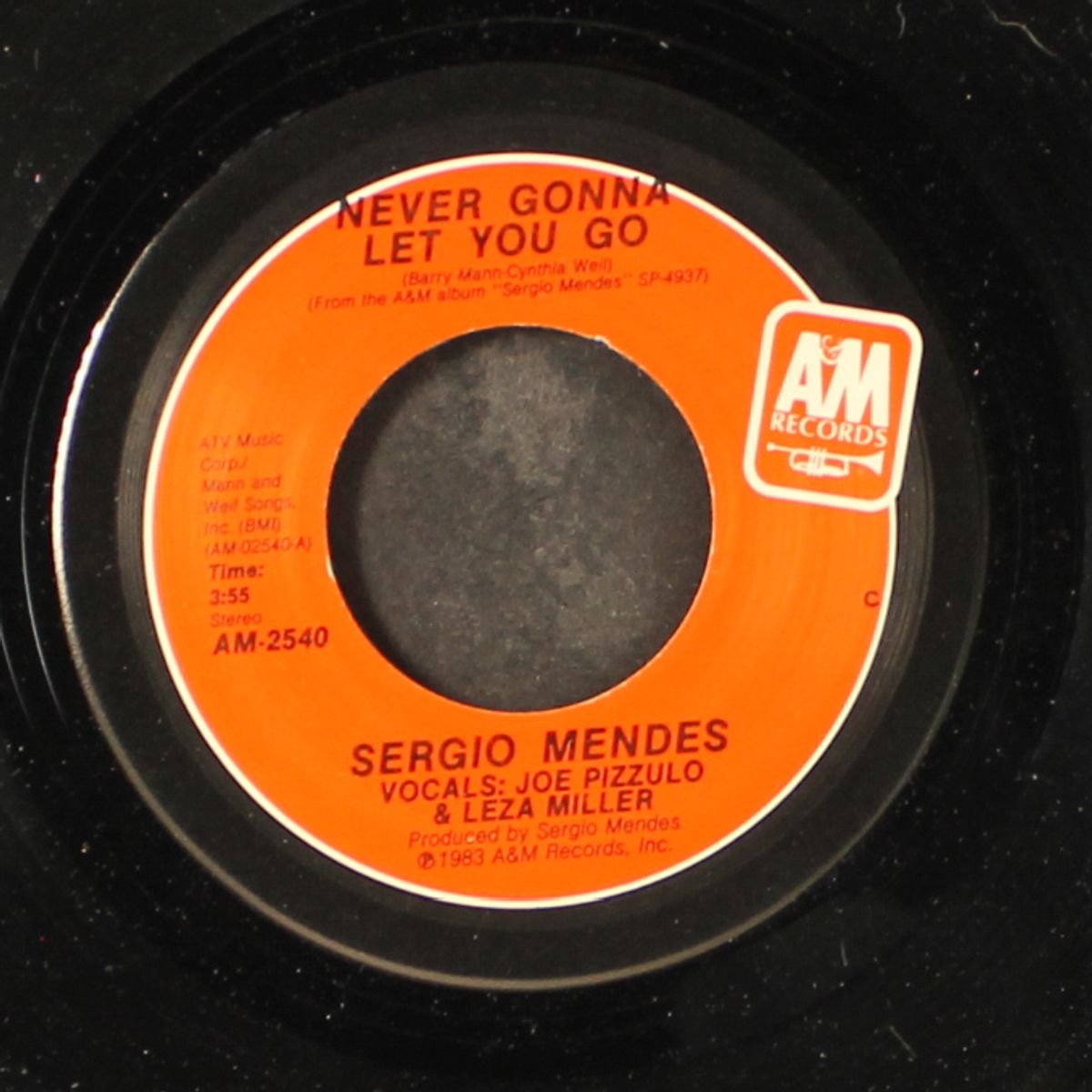 never gonna let you go / carnaval by SERGIO MENDES