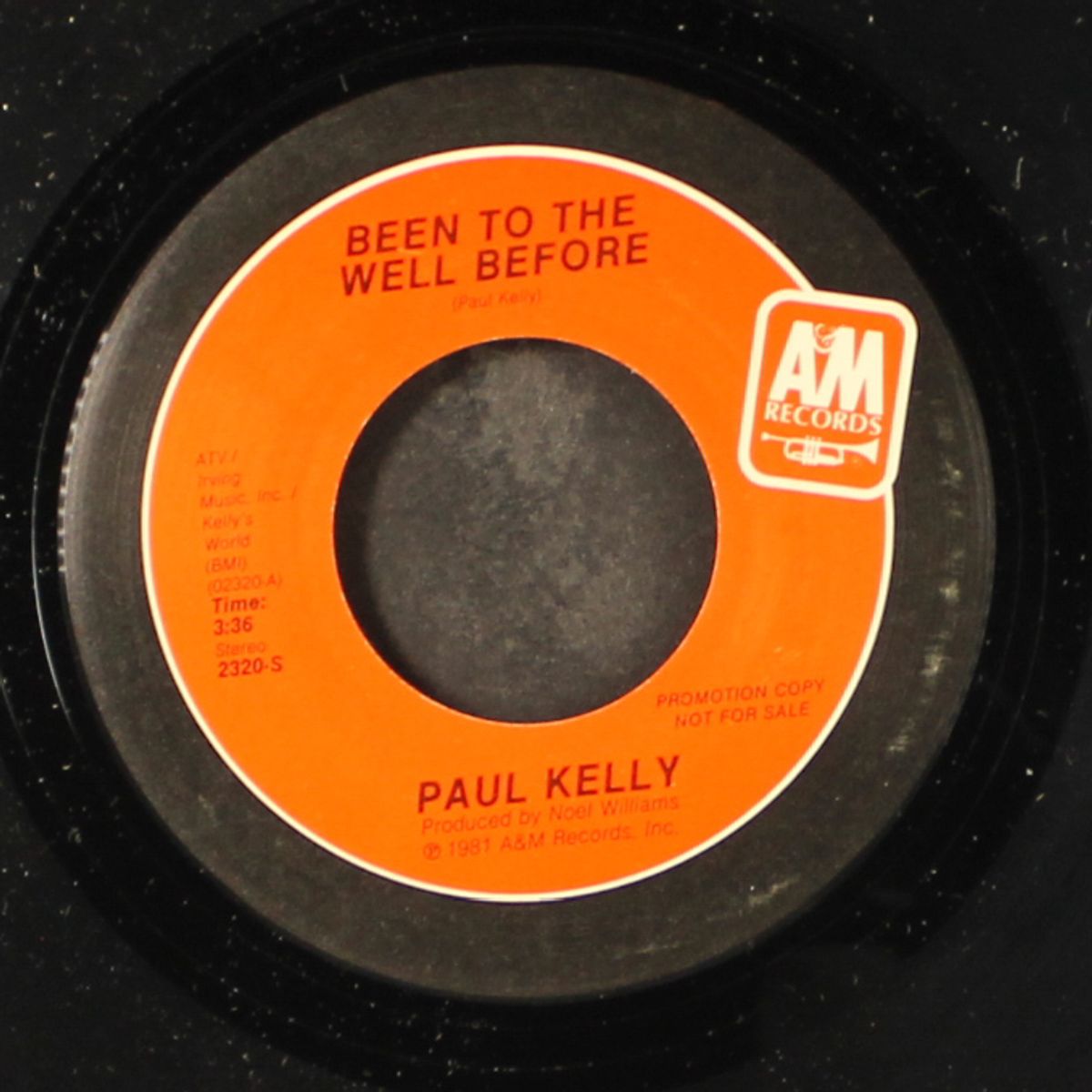 been to the well before / mono by PAUL KELLY