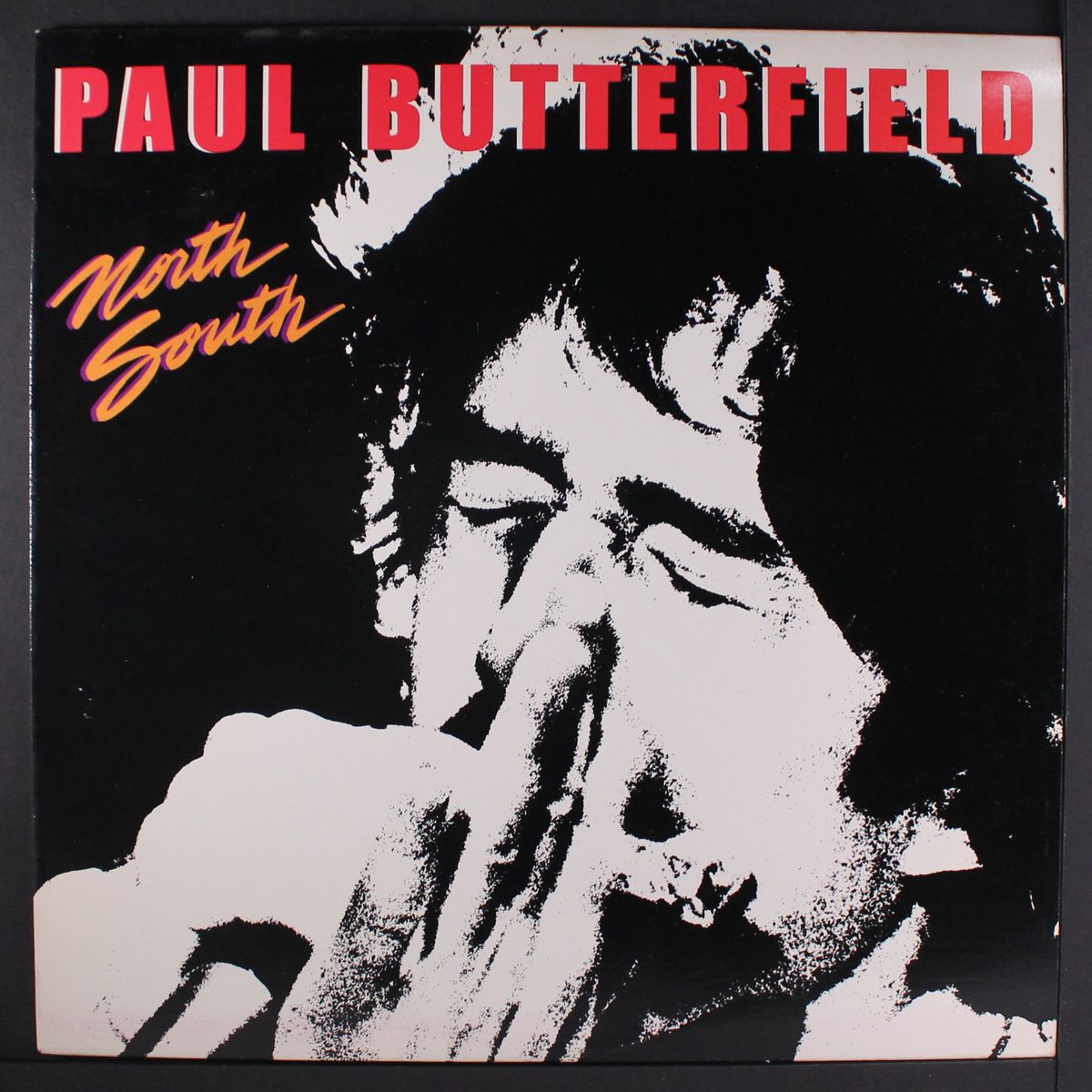 north south by PAUL BUTTERFIELD
