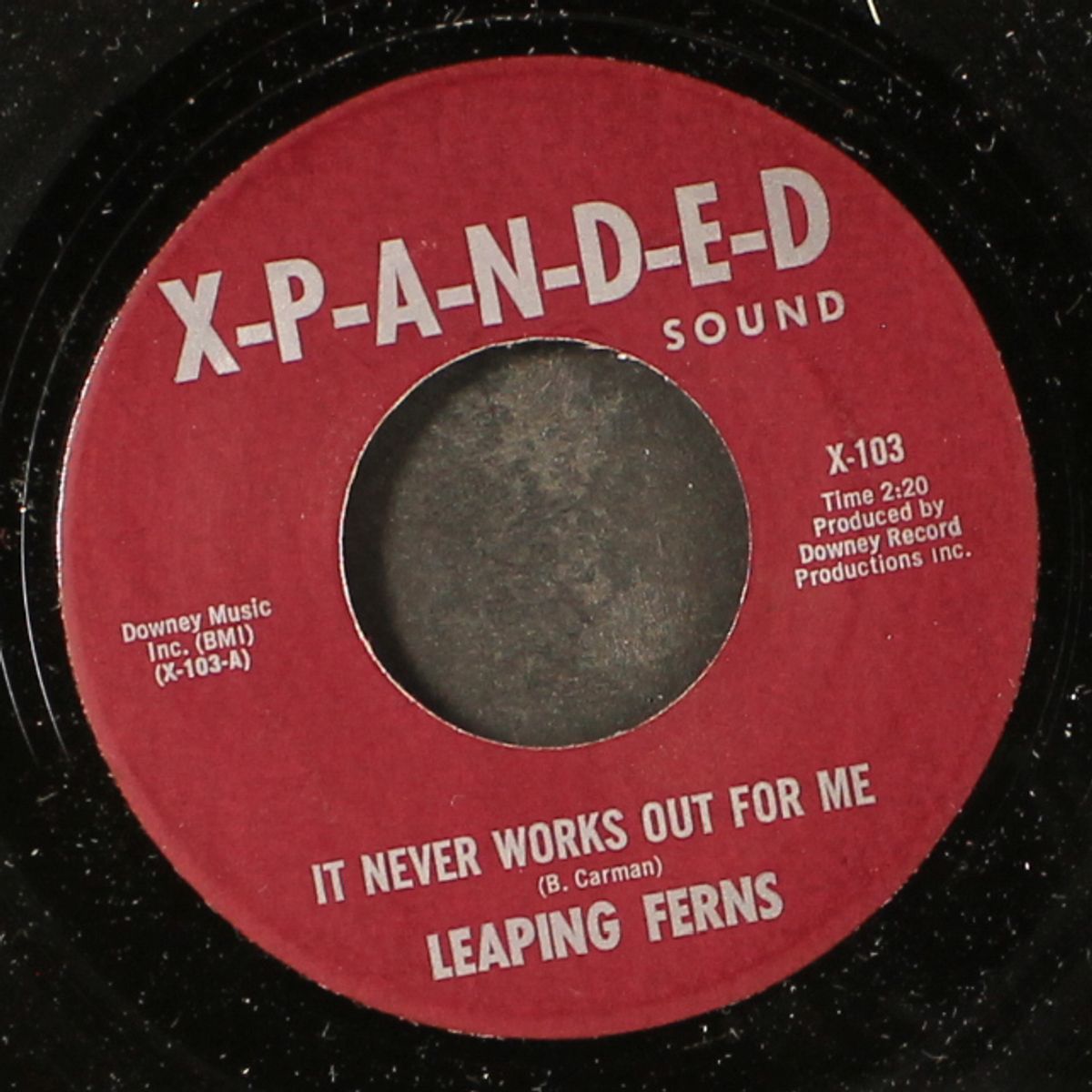 maybe baby / it never works out by LEAPING FERNS