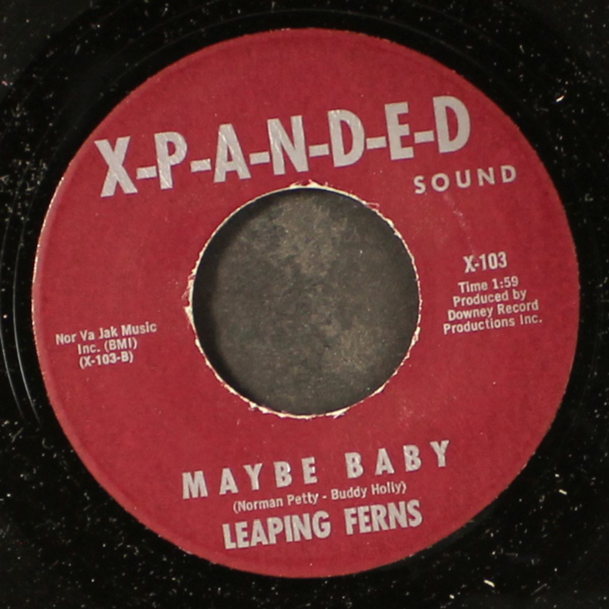 maybe baby / it never works out by LEAPING FERNS