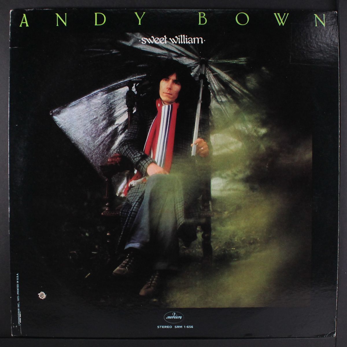 sweet william by ANDY BOWN