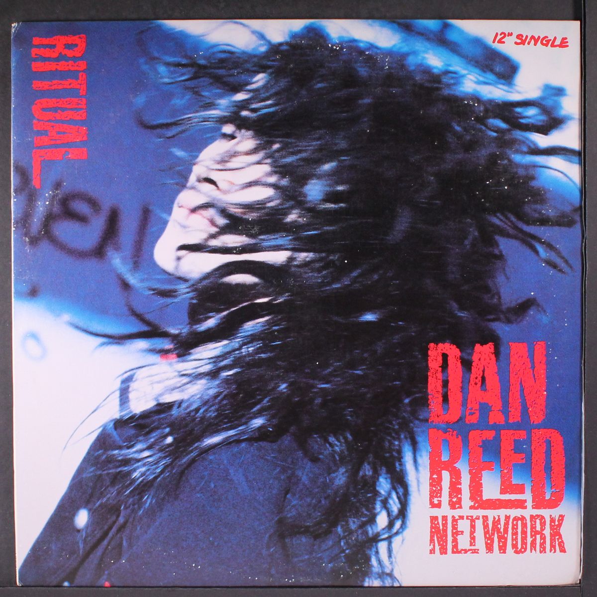 ritual by DAN REED NETWORK
