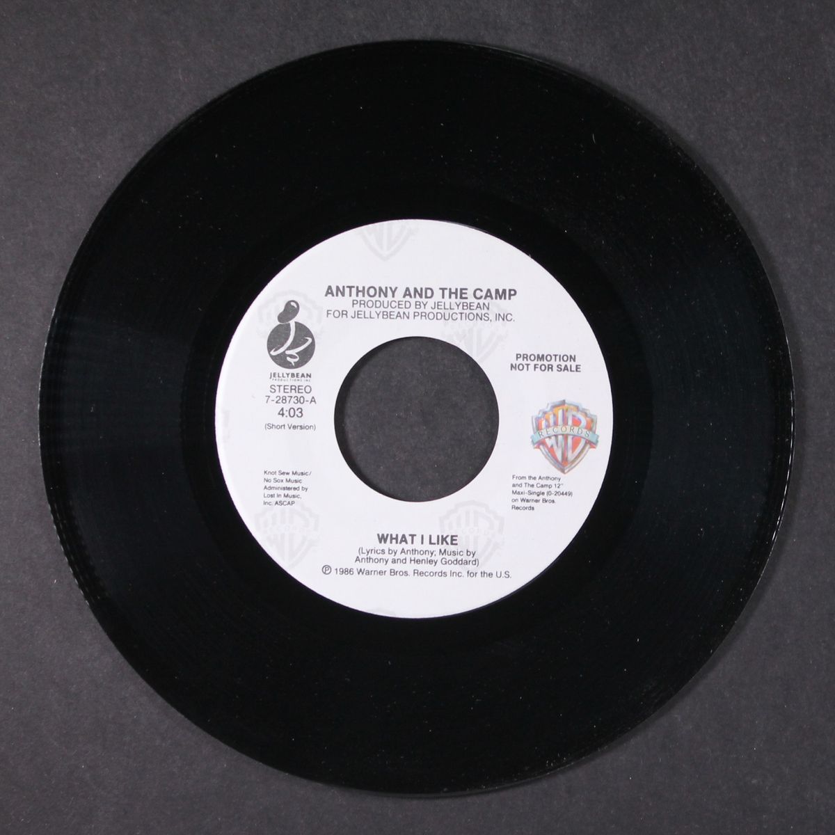 what i like by ANTHONY & THE CAMP
