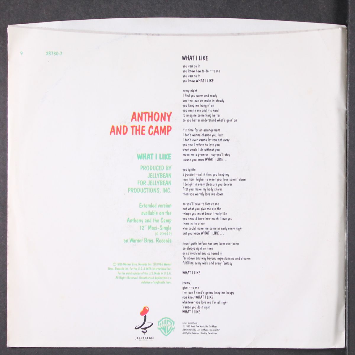 what i like by ANTHONY & THE CAMP