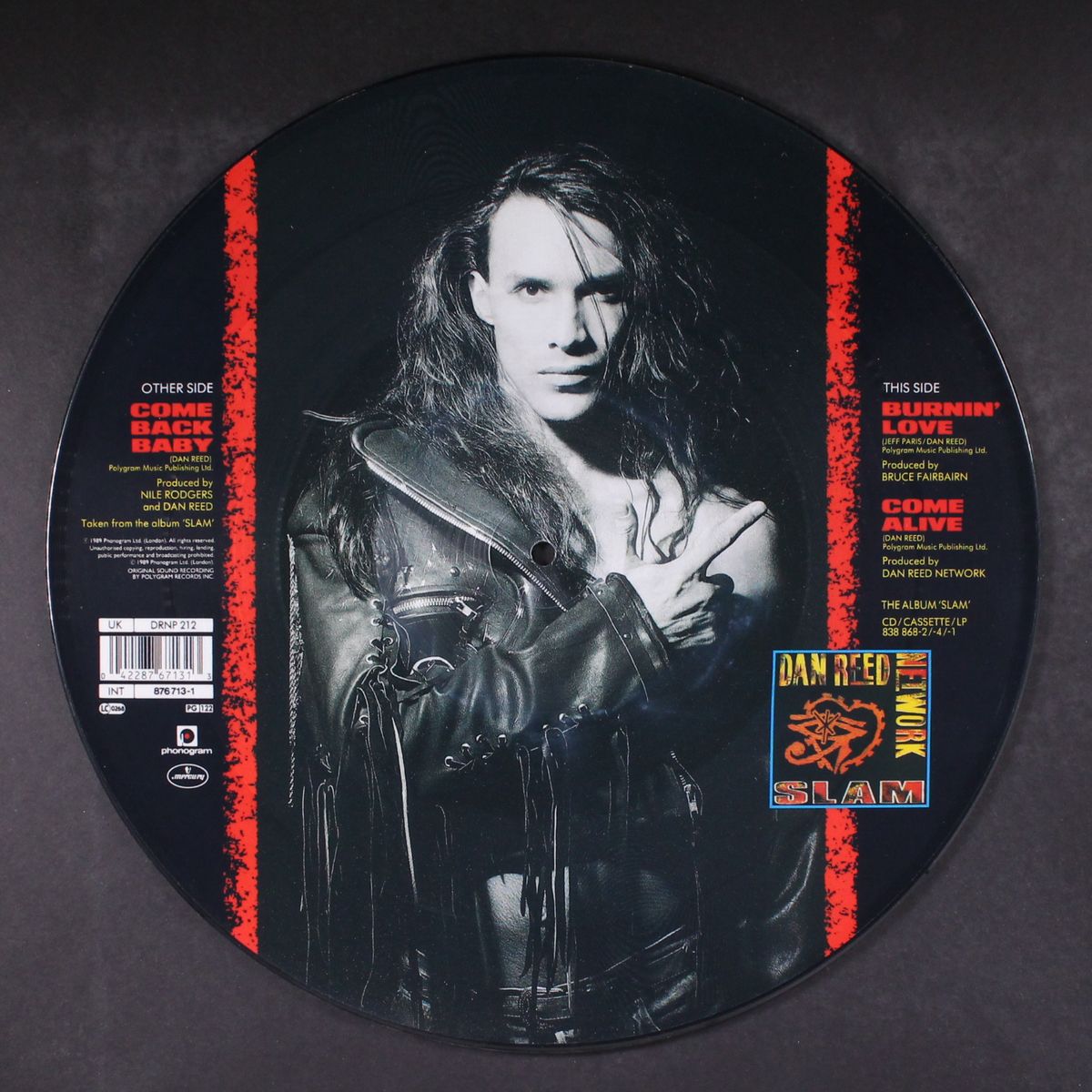 come back baby/burnin' love by DAN REED NETWORK