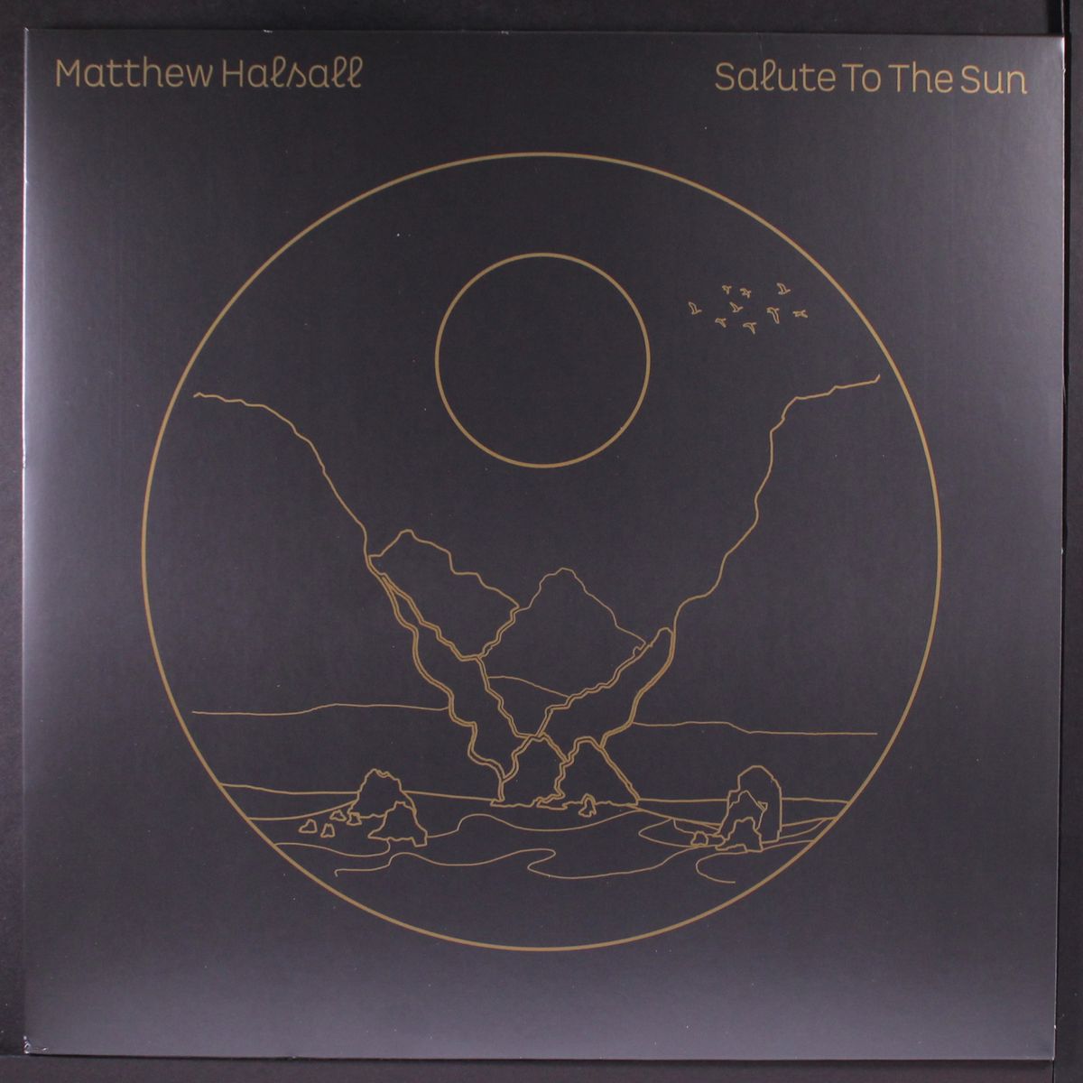 salute to the sun by MATTHEW HALSALL