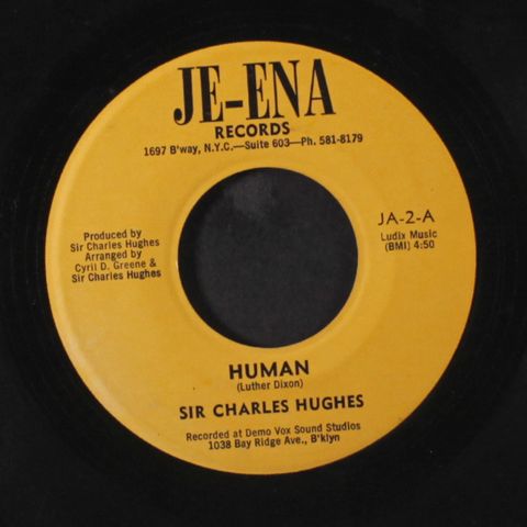 SIR CHARLES HUGHES