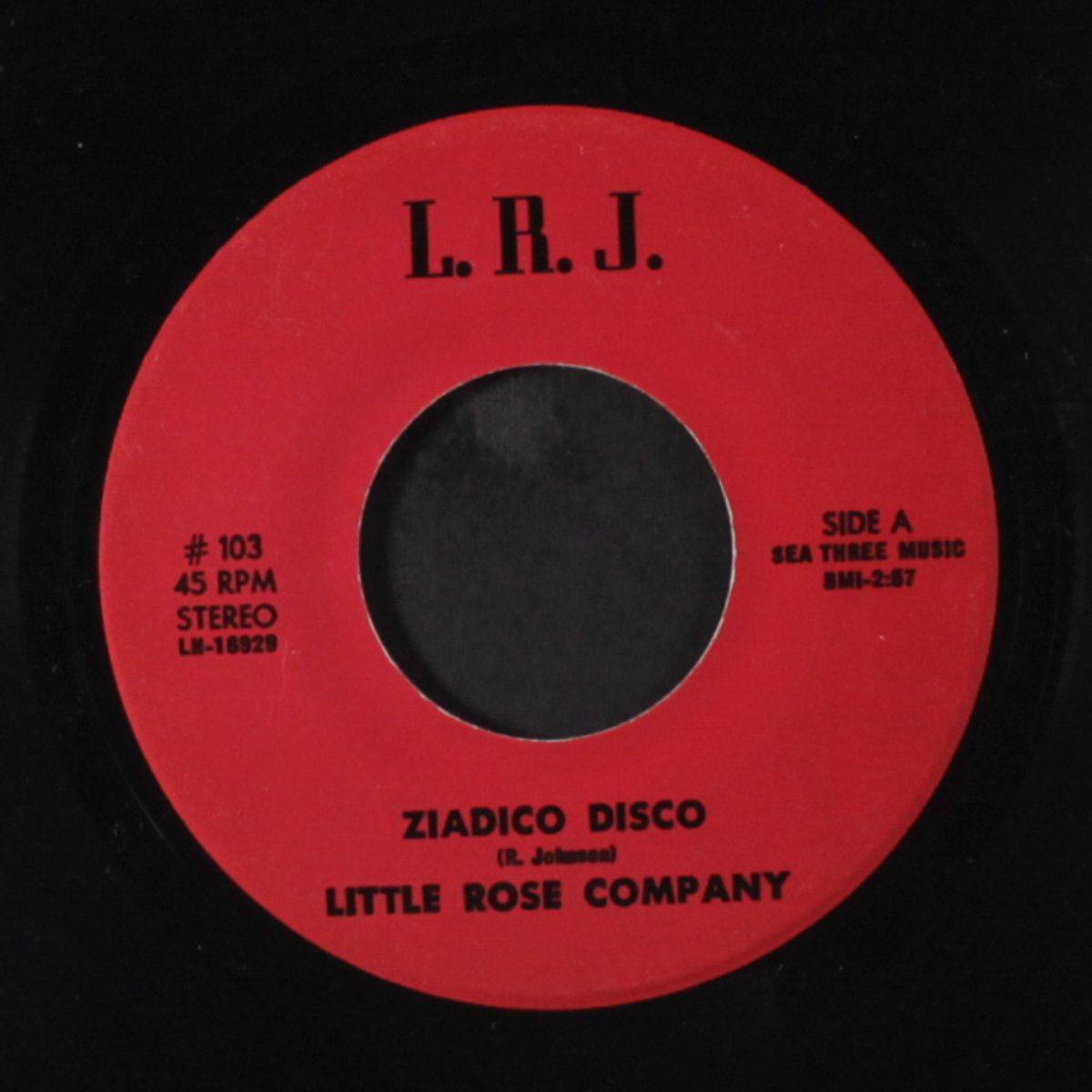 do you feel it / ziadico disco by LITTLE ROSE COMPANY