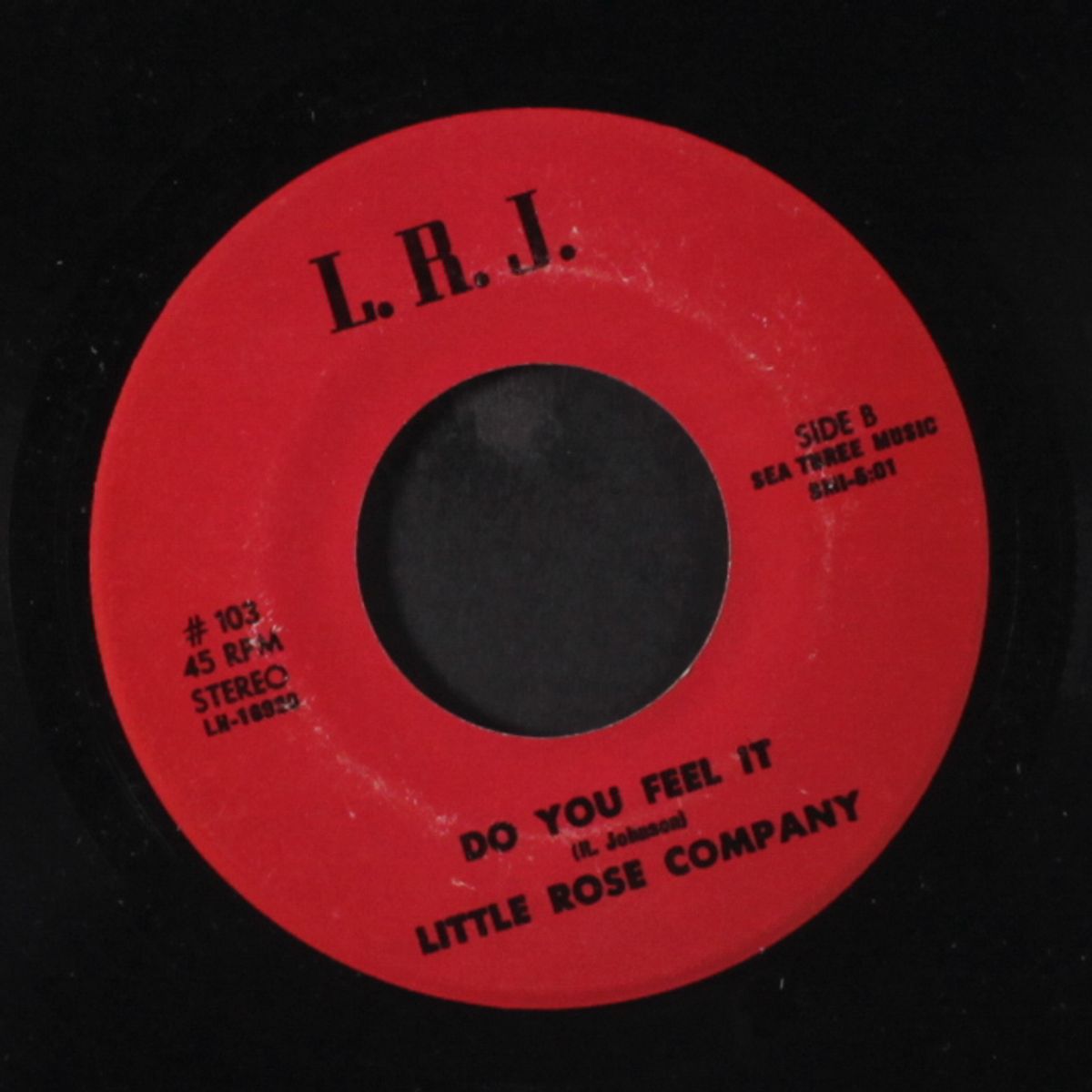 do you feel it / ziadico disco by LITTLE ROSE COMPANY