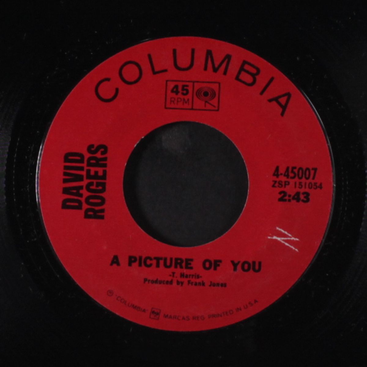a world called you / a picture of you by DAVID ROGERS