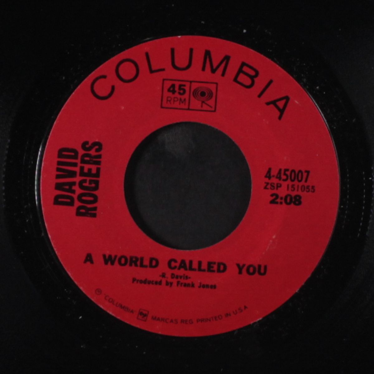 a world called you / a picture of you by DAVID ROGERS