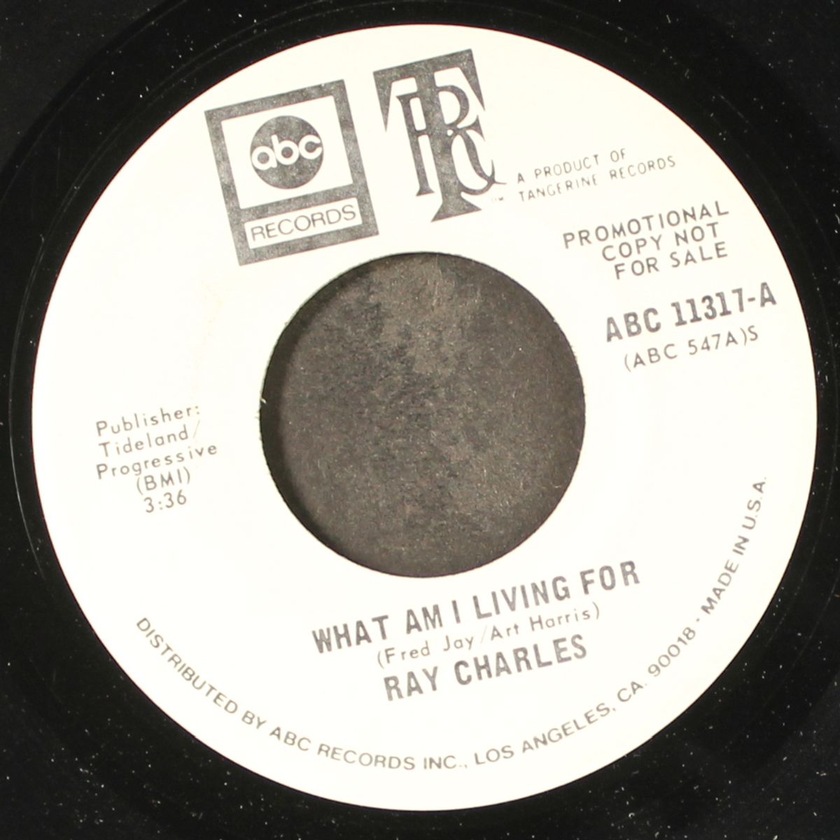 what am i living for / mono by RAY CHARLES