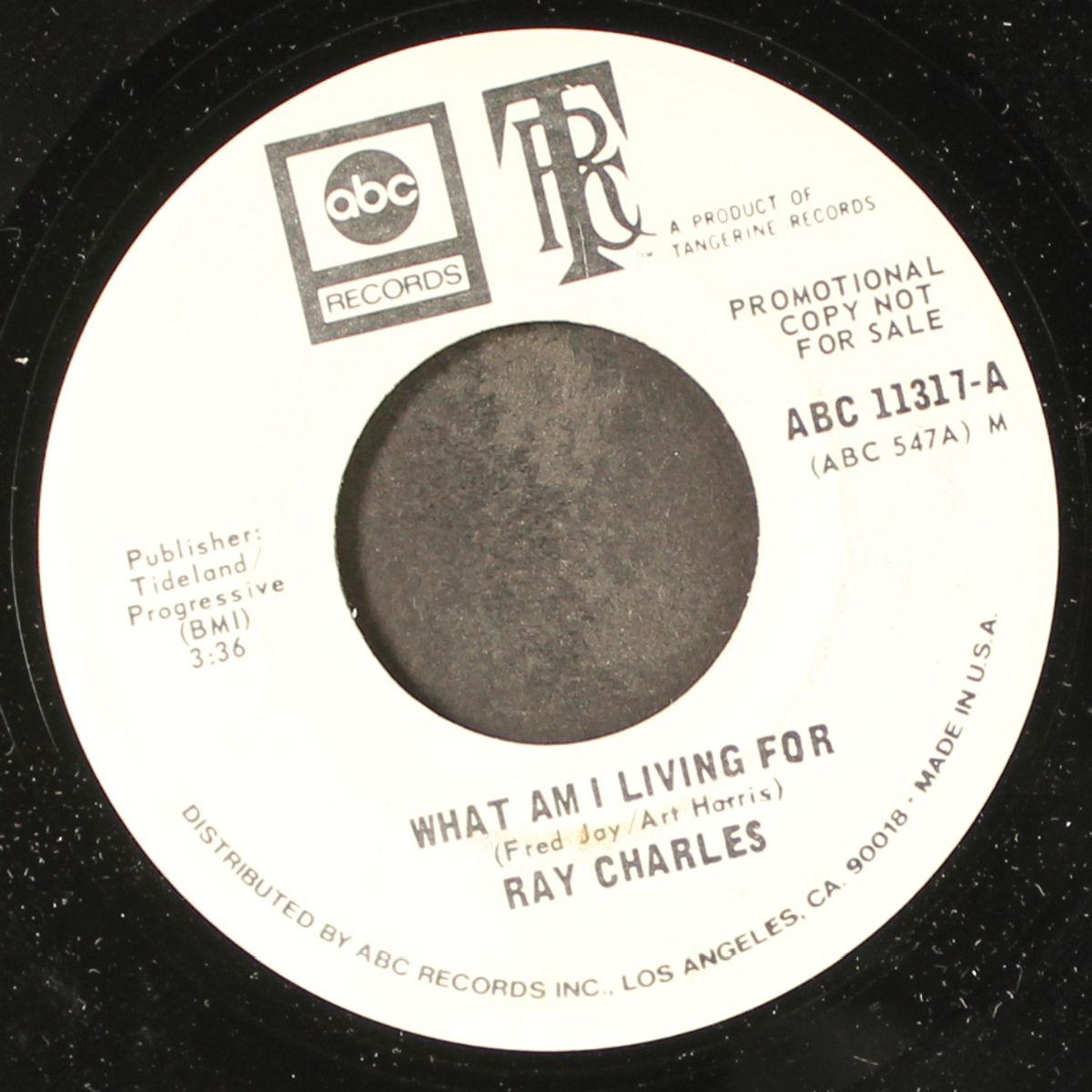 what am i living for / mono by RAY CHARLES