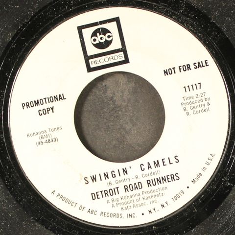 DETROIT ROAD RUNNERS
