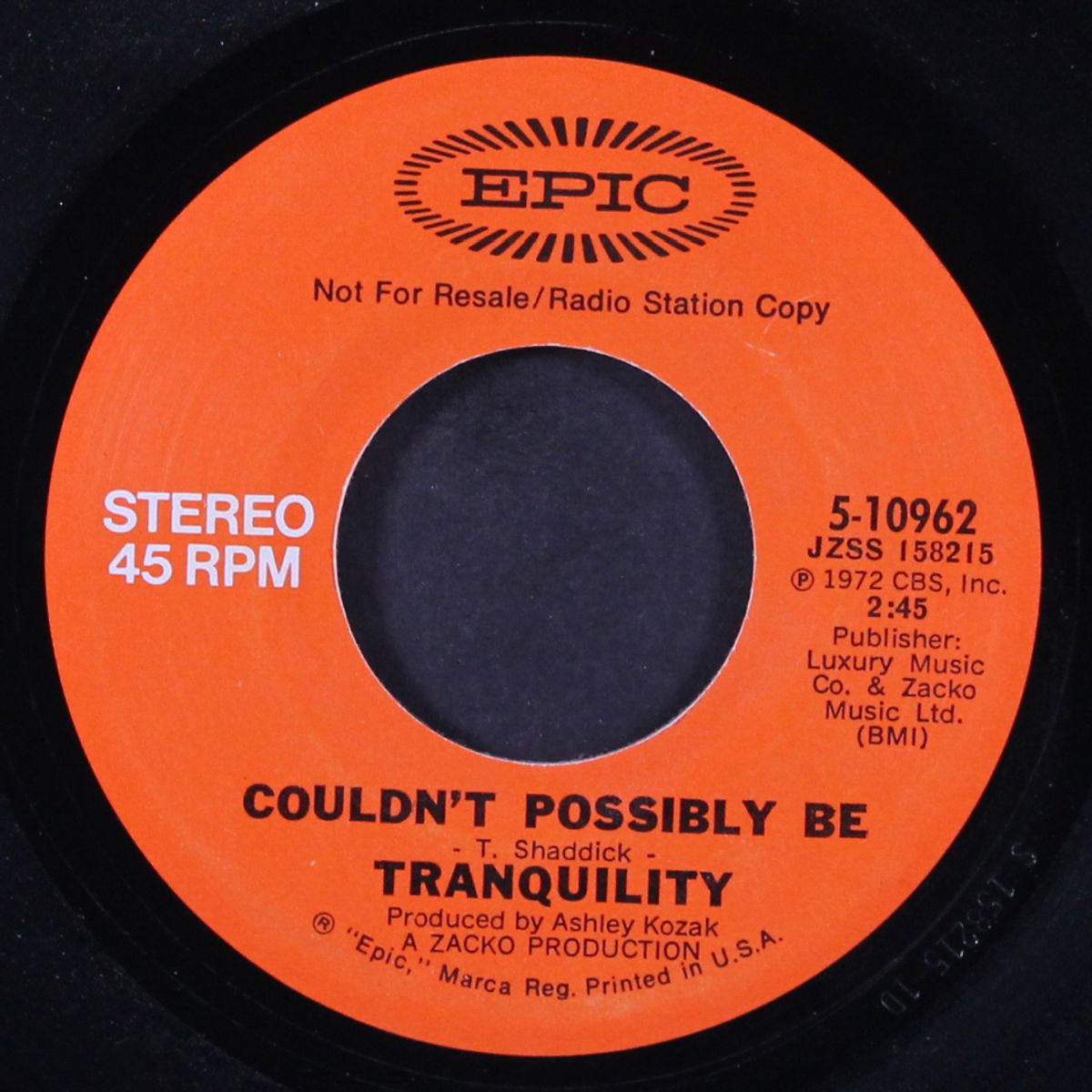 couldn't possibly be / mono by TRANQUILITY