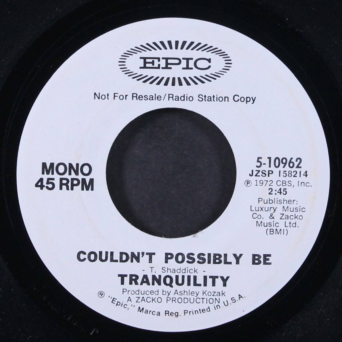 couldn't possibly be / mono by TRANQUILITY