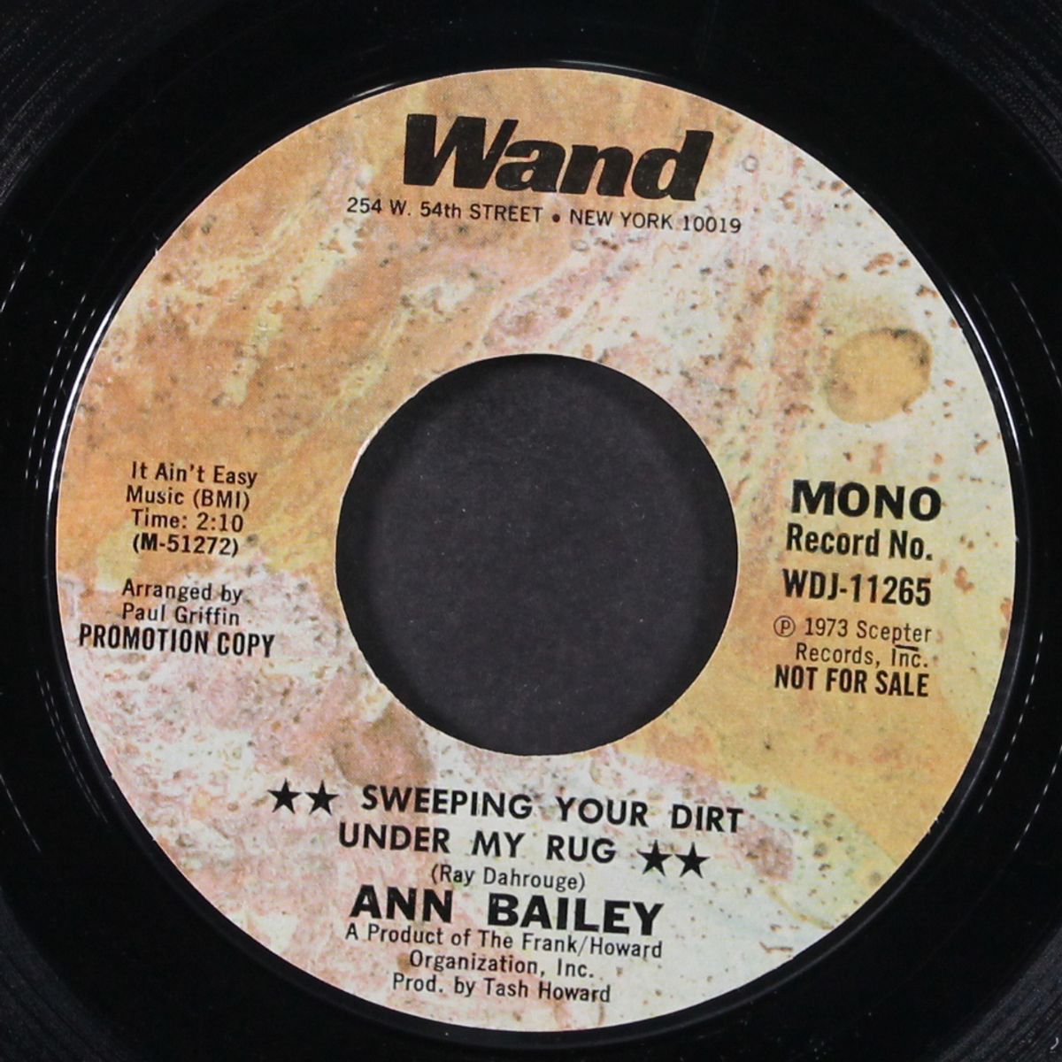 sweeping your dirt under my rug / mono by ANN BAILEY