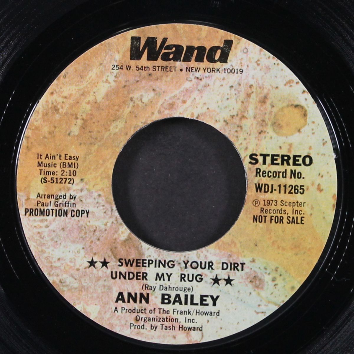 sweeping your dirt under my rug / mono by ANN BAILEY