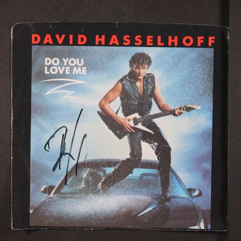 DAVID HASSELHOFF