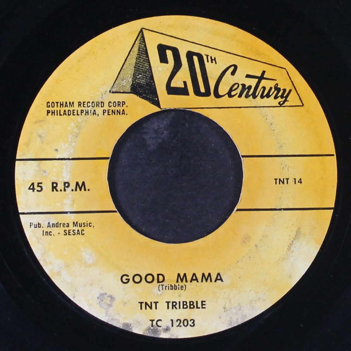 the groove / good mama by TNT TRIBBLE