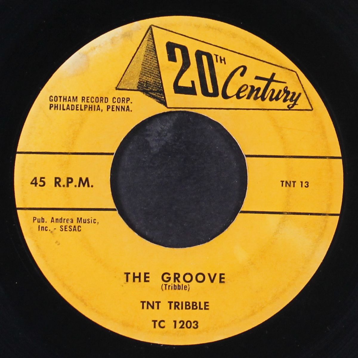 the groove / good mama by TNT TRIBBLE