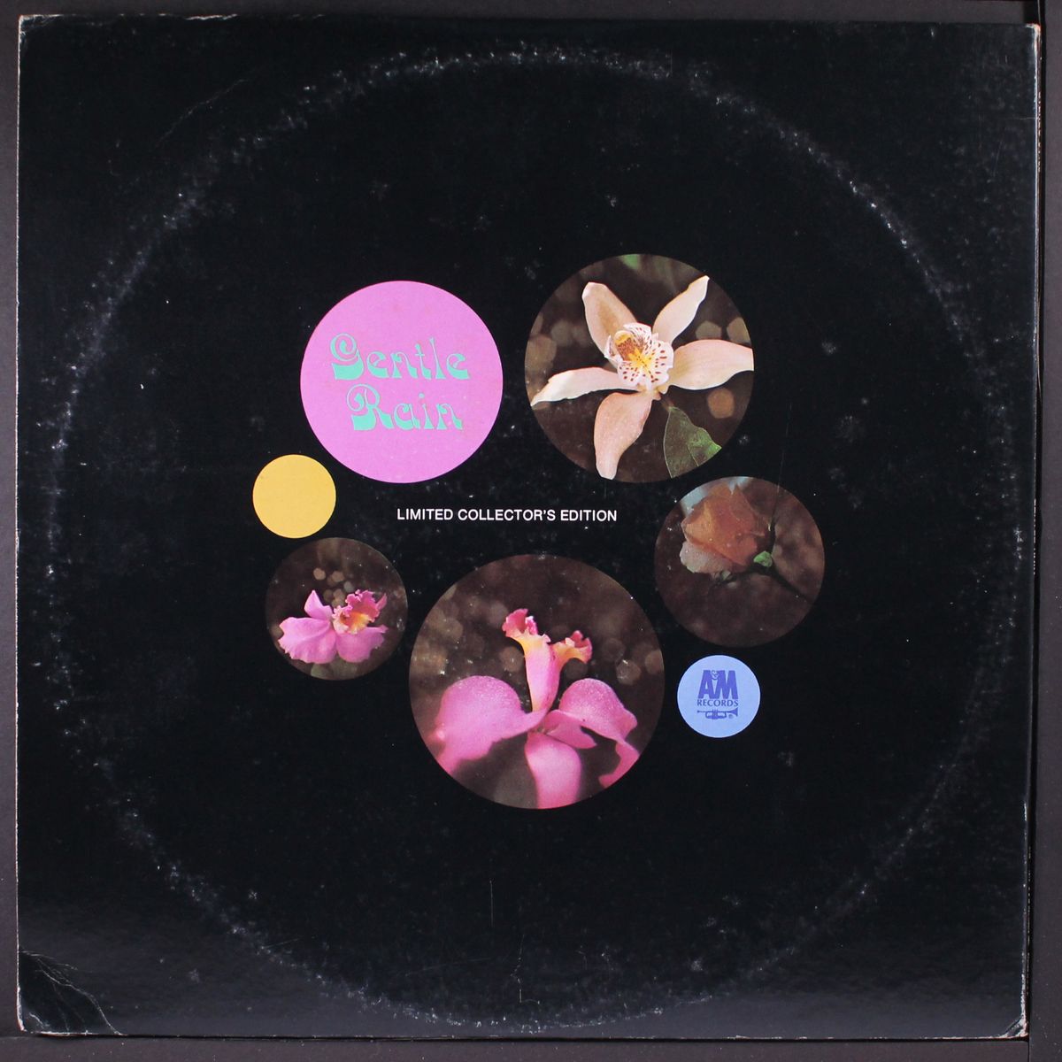 gentle rain by VARIOUS